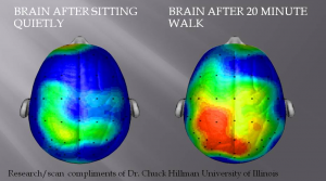 brain walking